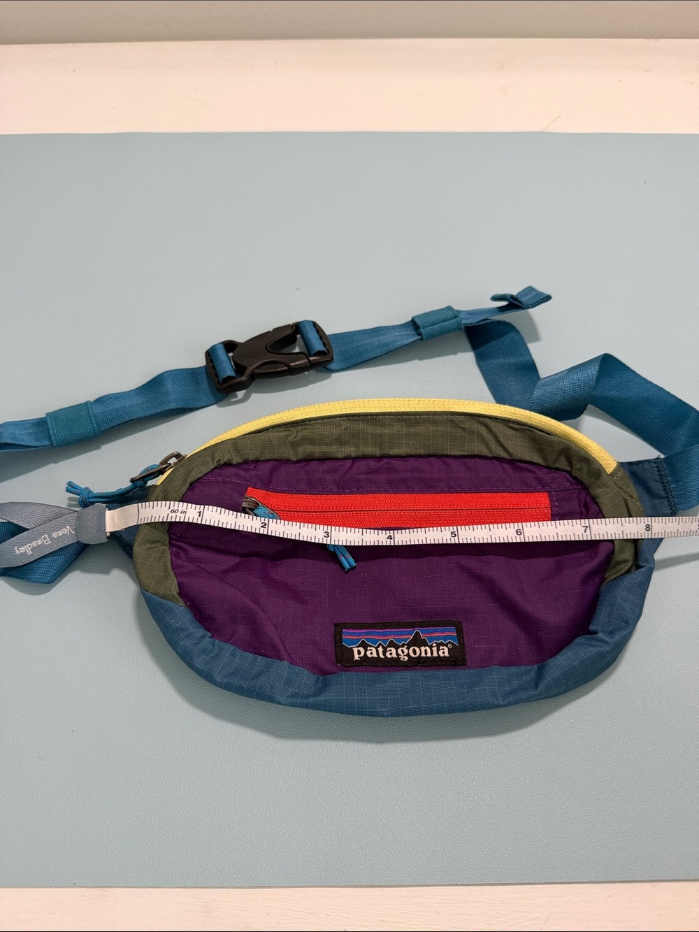 Patagonia Ultralight 1L Colorblock Waist Pack Excellent Condition Retired - Picture 7 of 9